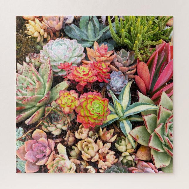 Colourful Red Succulent MixPuzzle Jigsaw Puzzle (Vertical)