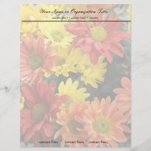 colourful red, yellow and orange daisy flowers personalized letterhead