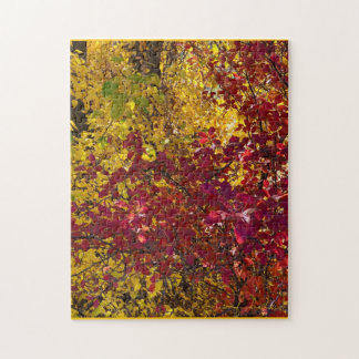 Colourful Red & Yellow Jigsaw Puzzle