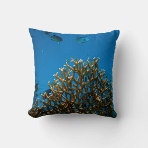 Colourful reefs cushion