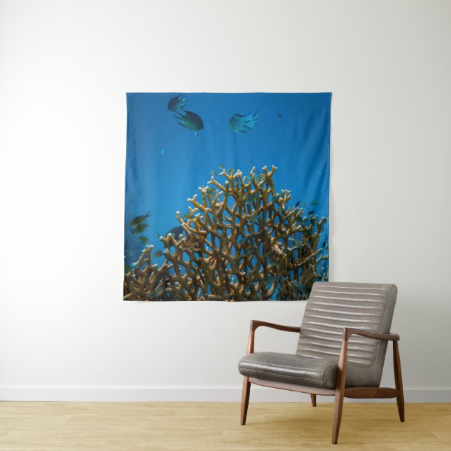 Colourful reefs tapestry (In Situ)