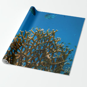 Colourful reefs wrapping paper
