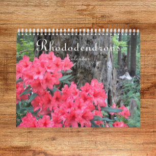 Colourful Rhododendrons Floral Photographic Calendar