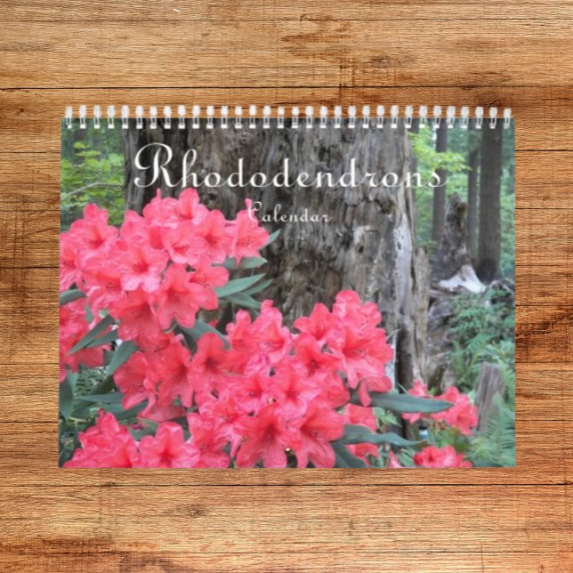 Colourful Rhododendrons Floral Photographic Calendar (In Situ)