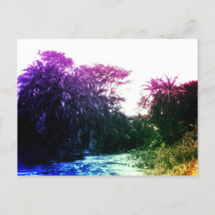 Colourful River Gallery Forest Vintage Tropical Postcard