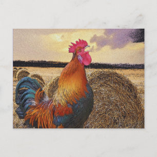 Colourful Rooster and Hay Bale Postcard