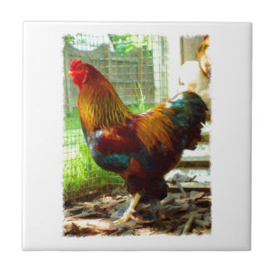 Colourful Rooster Ceramic Tile