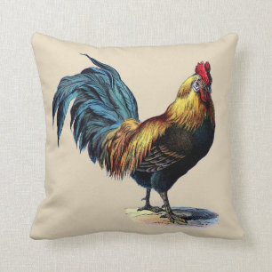 Colourful Rooster Country Chicken Vintage Picture Cushion