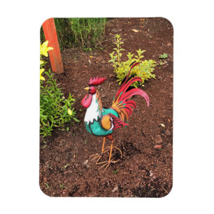 Colourful Rooster in the Garden Magnet