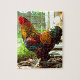 Colourful Rooster Jigsaw Puzzle
