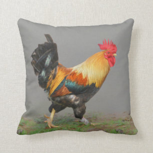 Colourful Rooster Painting Country Decor Cushion