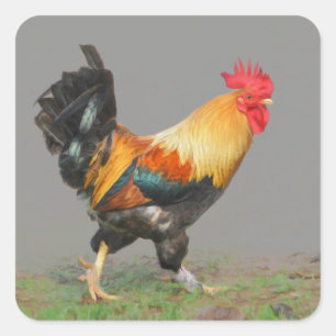 Colourful Rooster Painting Square Sticker