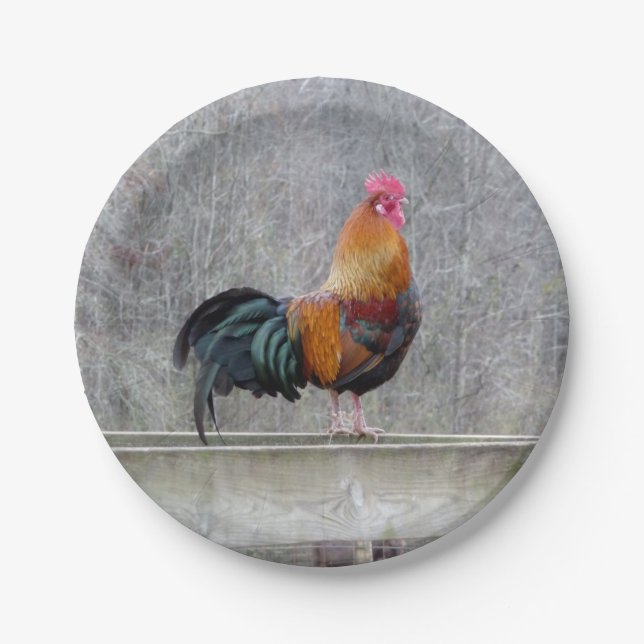 Colourful Rooster Paper Plates (Front)