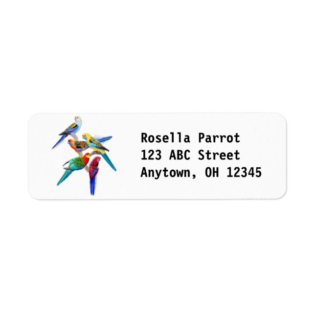 Colourful Rosella Parrots Label Return Address Label (Front)