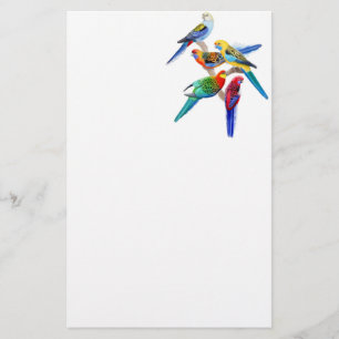 Colourful Rosella Parrots Stationery