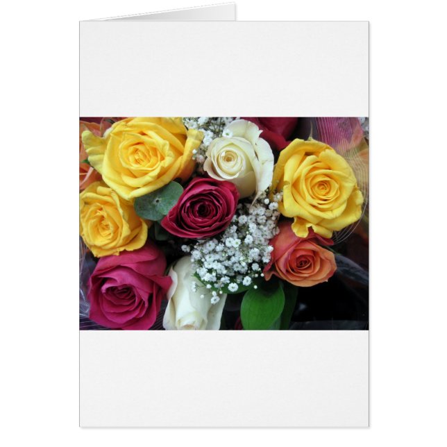 Colourful Roses (Front)