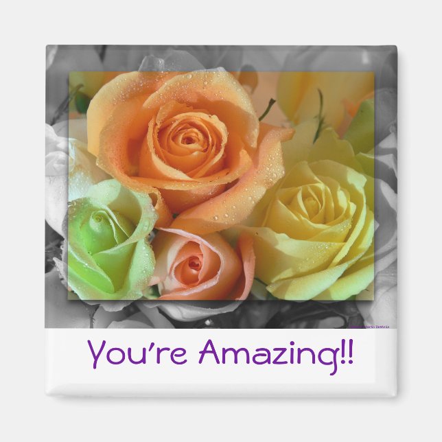 Colourful Roses-Magnet Magnet (Front)