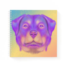 Colourful Rottweiler