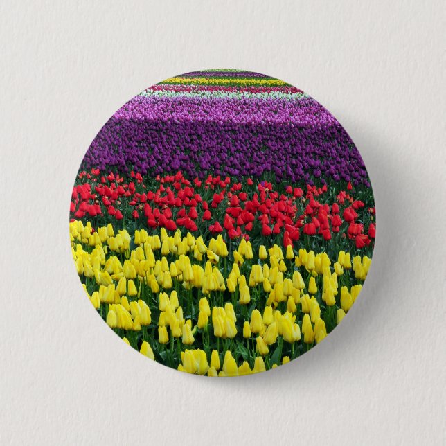 Colourful rows of spring tulips 6 cm round badge (Front)