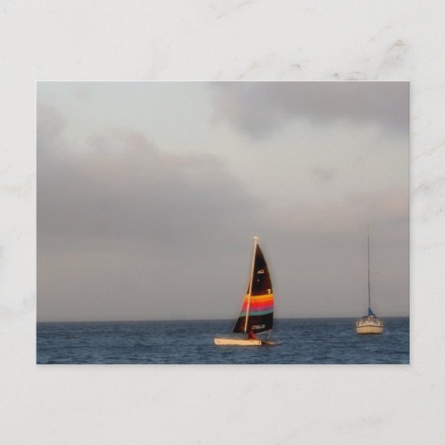 Colourful Sailboat Postcard (Front)