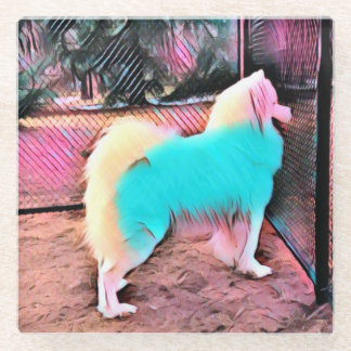 Colourful Samoyed glass coaster