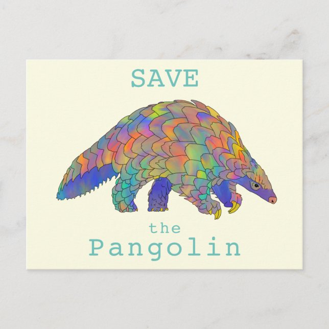 Colourful Save Pangolin Endangered Animal Activism Postcard (Front)