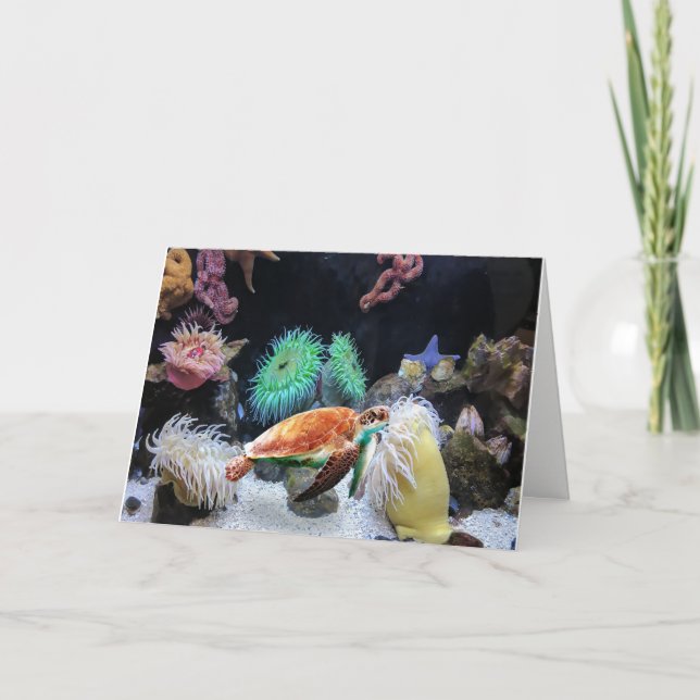 Colourful Sea life Note Card (Front)