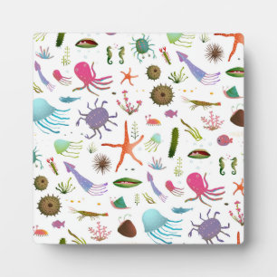 Colourful Sea Life Plaque