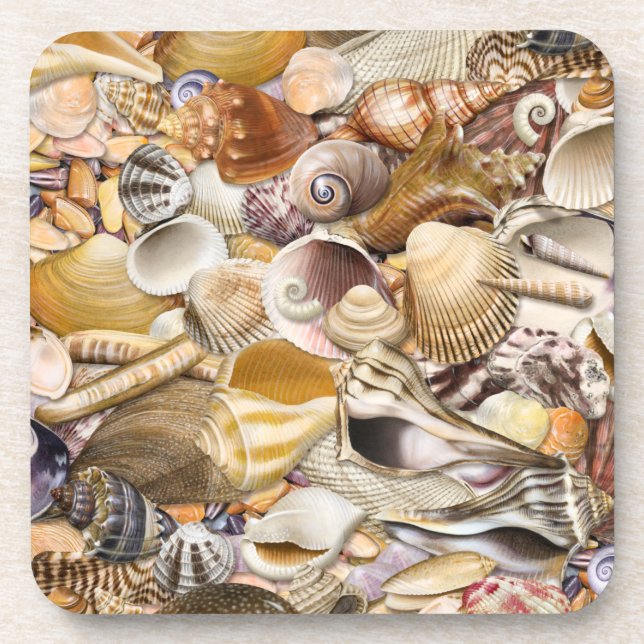 Colourful Seashells Coasters (Front)
