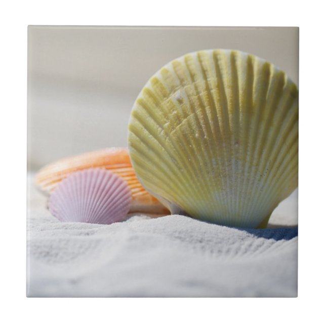Colourful Seashells in the Sand Ceramic Tile (Front)