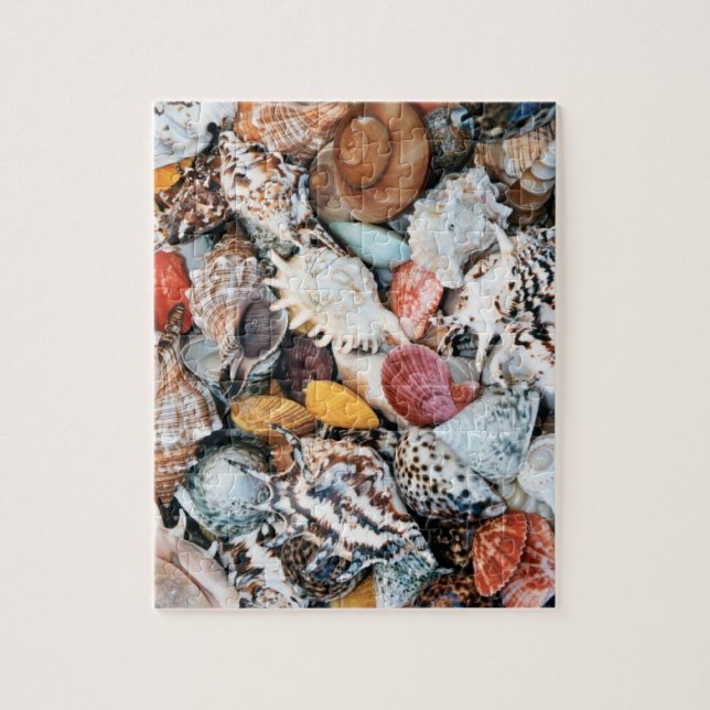 Colourful Seashells Jigsaw Puzzle (Vertical)
