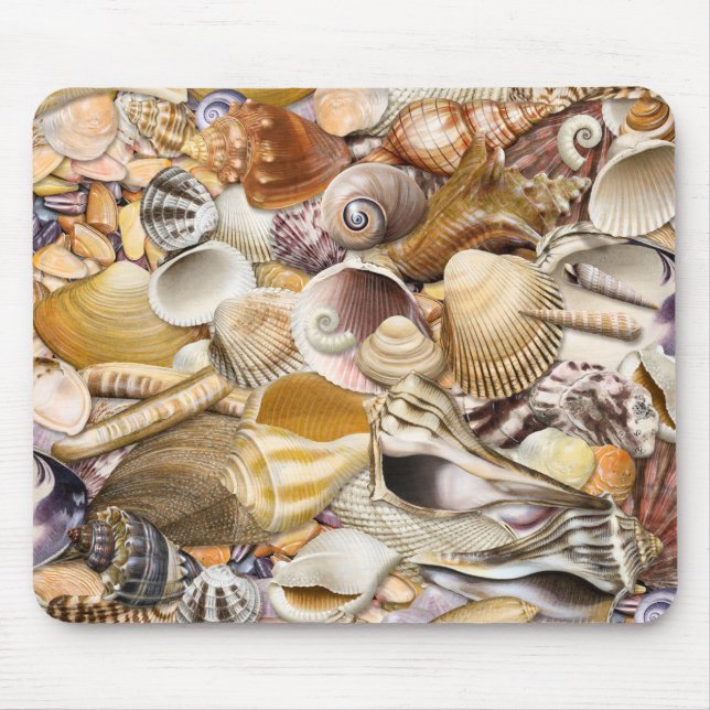 Colourful Seashells Mouse Pad (Front)