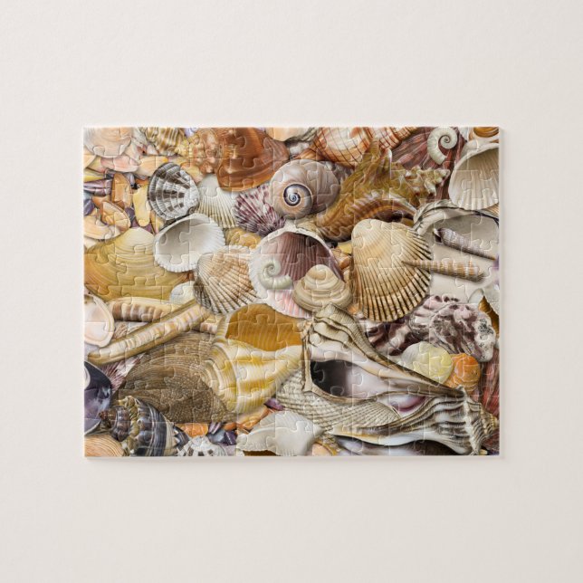 Colourful Seashells Puzzle (Horizontal)