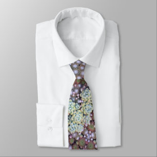Colourful Sedum and Sempervivum Succulent Tie