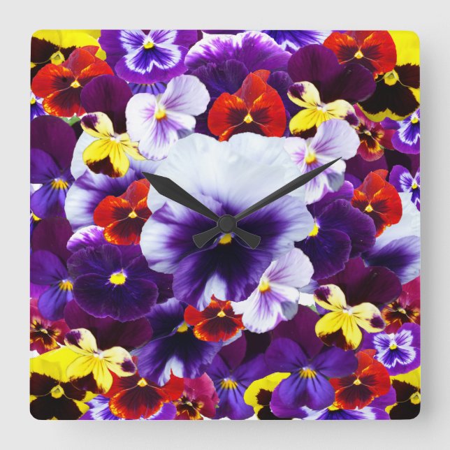Colourful Selection Of Pretty Pansies, Square Wall Clock (Front)