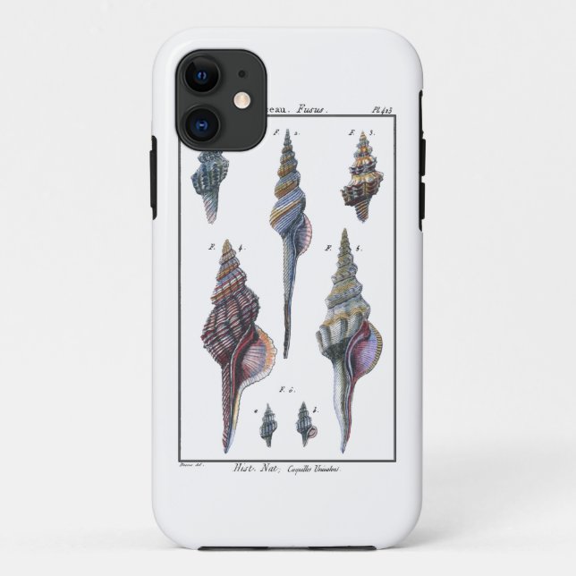 Colourful Seven Seashells Case-Mate iPhone Case (Back)