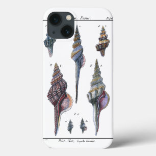Colourful Seven Seashells iPhone 13 Case