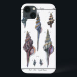 Colourful Seven Seashells iPhone 13 Case<br><div class="desc">Artist Denis Diderot is talented and known for his great sea life images. In this vivid image, he captures Seven colourful Conch seashells in their most natural and unique styles. Conches are often crackled and come in all shape and sizes. Get your seashell product today and enjoy image the ocean...</div>