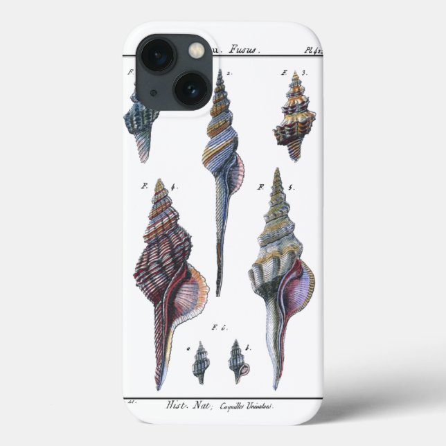 Colourful Seven Seashells Case-Mate iPhone Case (Back)