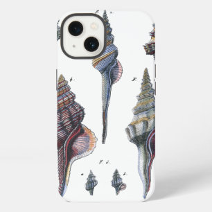 Colourful Seven Seashells iPhone Case