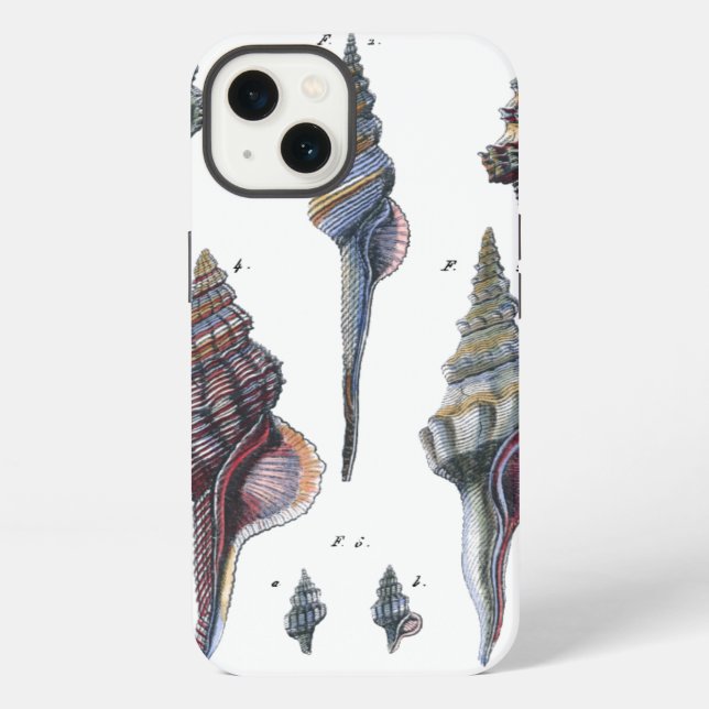 Colourful Seven Seashells iPhone Case (Back)