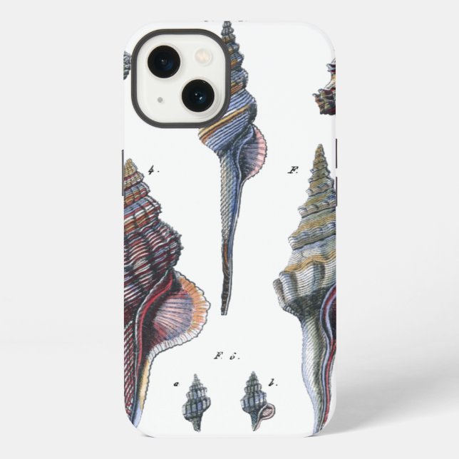 Colourful Seven Seashells iPhone Case (Back)
