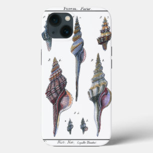 Colourful Seven Seashells iPhone 13 Case
