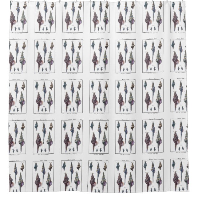 Colourful Seven Seashells Shower Curtain (Front)