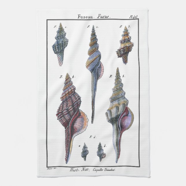 Colourful Seven Seashells Tea Towel (Vertical)