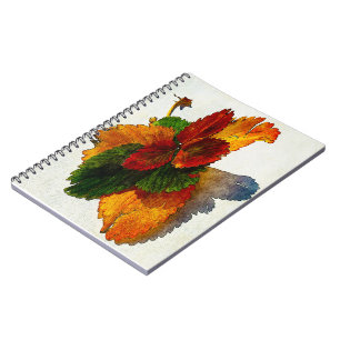 Colourful shades of autumn leaves   notebook