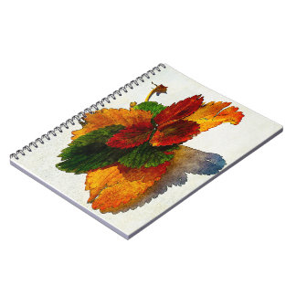 Colourful shades of autumn leaves   notebook