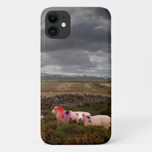 Colourful sheep iPhone 11 case