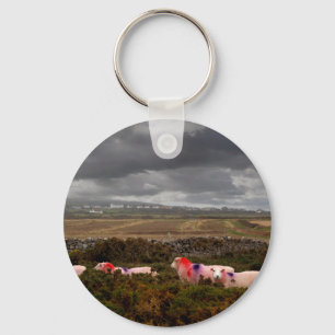 Colourful sheep key ring