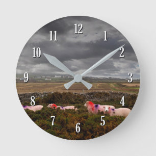 Colourful sheep round clock